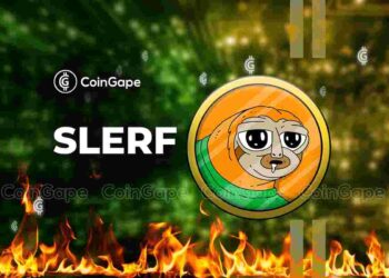 Solana-Based Slerf Voting Now Live for NFT Owners